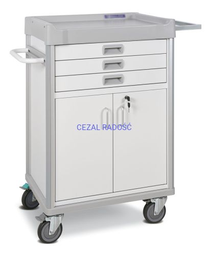 CEZAL-RADOSC-SC-3.jpg