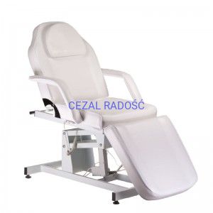 Elektryczny fotel kosmetyczny BD-8251 