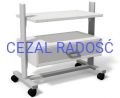 STA-8-CEZAL-RADOSC.jpg
