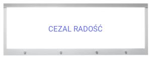 Negatoskop LED NGP-41 mocowanie ścienne