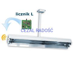 Lampa NBV 15 SL sufitowa z licznikiem